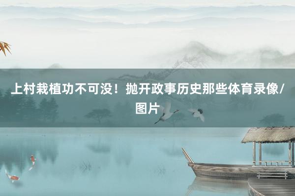 上村栽植功不可没!抛开政事历史那些体育录像/图片