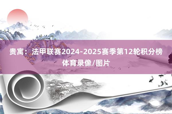 贵寓：法甲联赛2024-2025赛季第12轮积分榜体育录像/图片