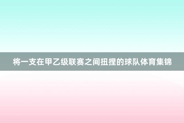 将一支在甲乙级联赛之间扭捏的球队体育集锦