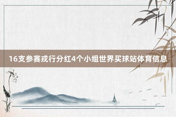 16支参赛戎行分红4个小组世界买球站体育信息