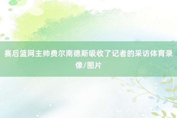 赛后篮网主帅费尔南德斯吸收了记者的采访体育录像/图片