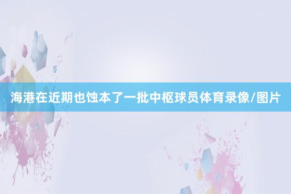 海港在近期也蚀本了一批中枢球员体育录像/图片
