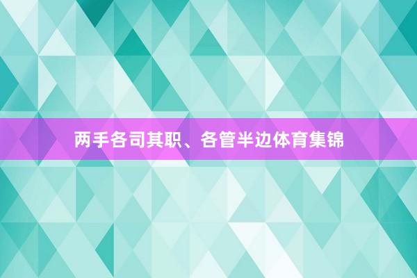 两手各司其职、各管半边体育集锦