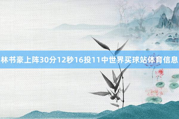 林书豪上阵30分12秒16投11中世界买球站体育信息