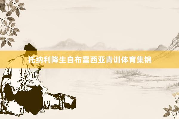 托纳利降生自布雷西亚青训体育集锦