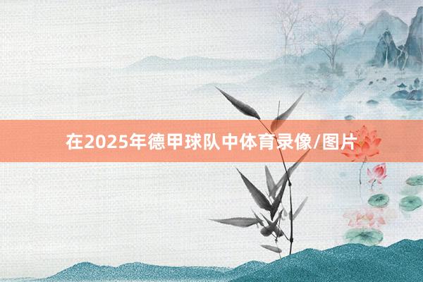 在2025年德甲球队中体育录像/图片