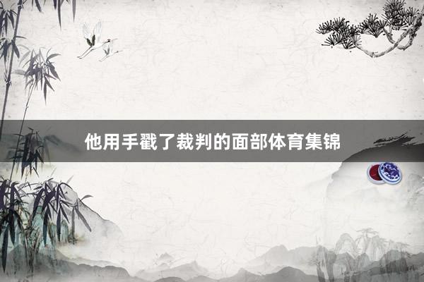 他用手戳了裁判的面部体育集锦