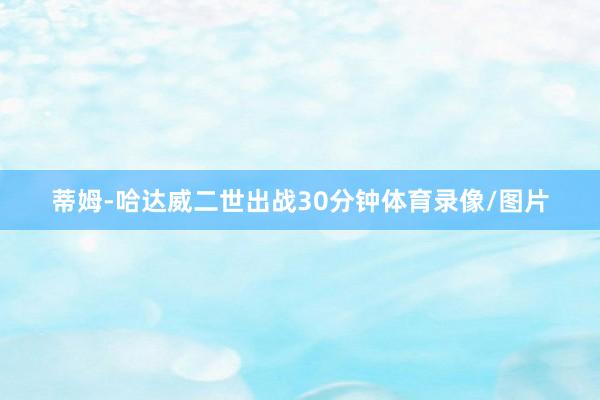 蒂姆-哈达威二世出战30分钟体育录像/图片