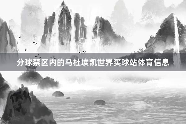 分球禁区内的马杜埃凯世界买球站体育信息