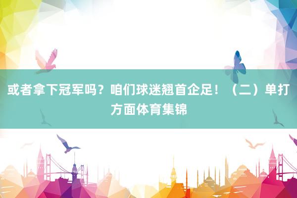 或者拿下冠军吗？咱们球迷翘首企足！（二）单打方面体育集锦