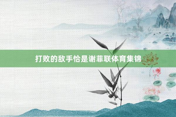 打败的敌手恰是谢菲联体育集锦