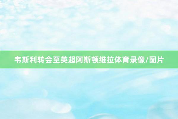 韦斯利转会至英超阿斯顿维拉体育录像/图片