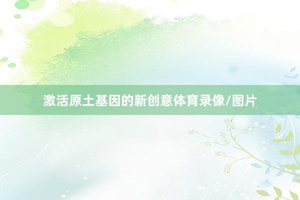 激活原土基因的新创意体育录像/图片