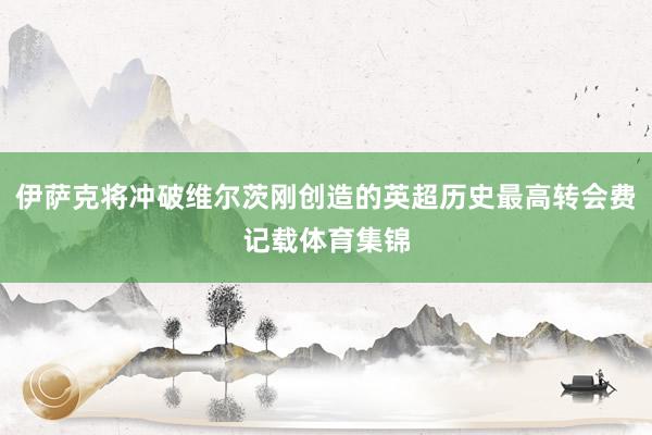 伊萨克将冲破维尔茨刚创造的英超历史最高转会费记载体育集锦