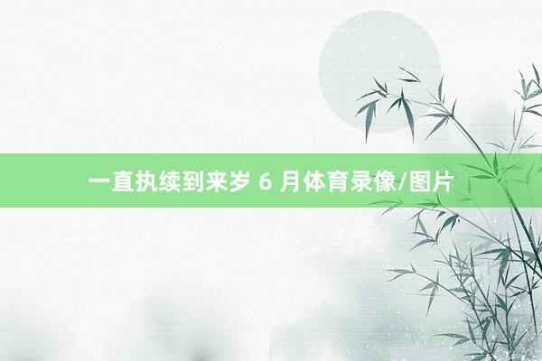 一直执续到来岁 6 月体育录像/图片
