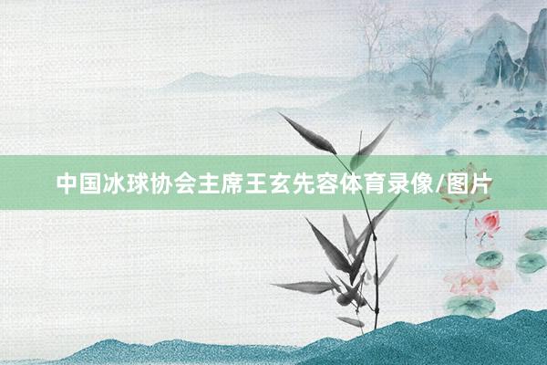 中国冰球协会主席王玄先容体育录像/图片