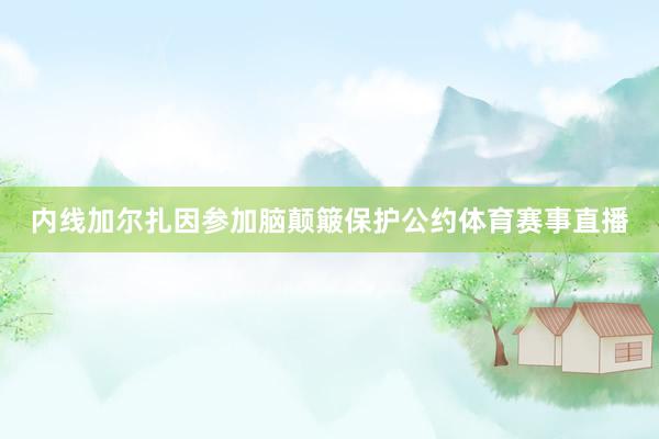 内线加尔扎因参加脑颠簸保护公约体育赛事直播