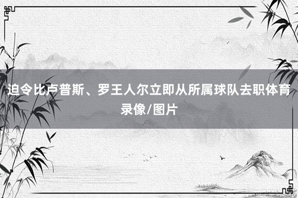 迫令比卢普斯、罗王人尔立即从所属球队去职体育录像/图片