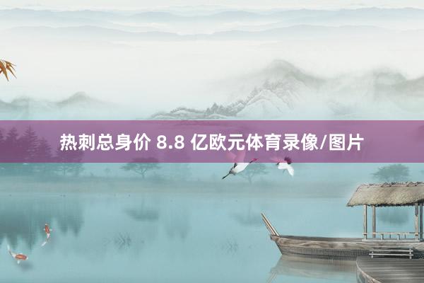 热刺总身价 8.8 亿欧元体育录像/图片