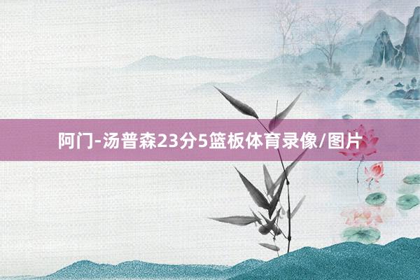 阿门-汤普森23分5篮板体育录像/图片