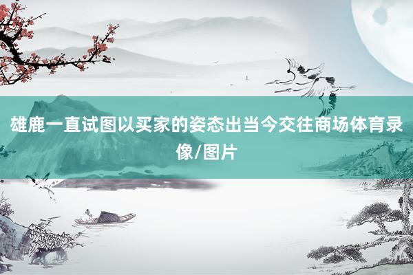雄鹿一直试图以买家的姿态出当今交往商场体育录像/图片