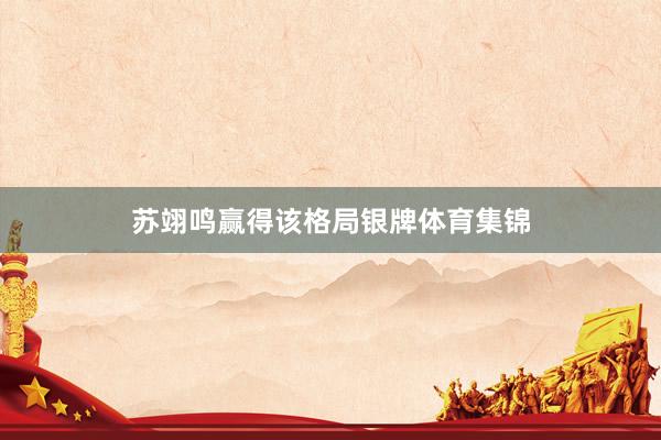 苏翊鸣赢得该格局银牌体育集锦
