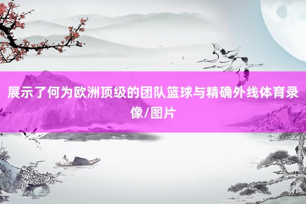 展示了何为欧洲顶级的团队篮球与精确外线体育录像/图片