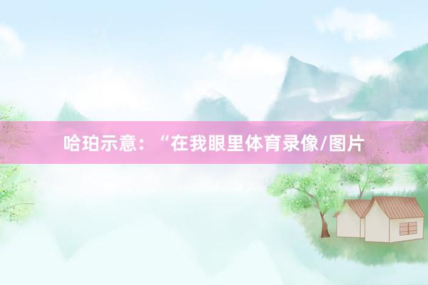 哈珀示意：“在我眼里体育录像/图片