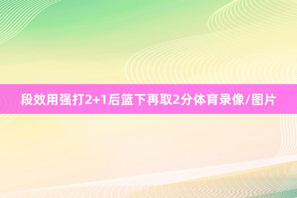 段效用强打2+1后篮下再取2分体育录像/图片
