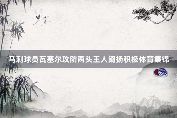 马刺球员瓦塞尔攻防两头王人阐扬积极体育集锦