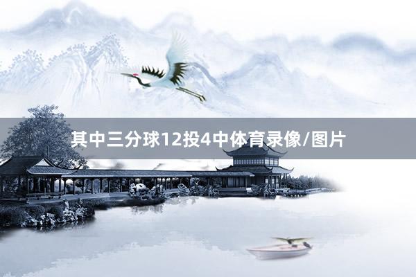 其中三分球12投4中体育录像/图片