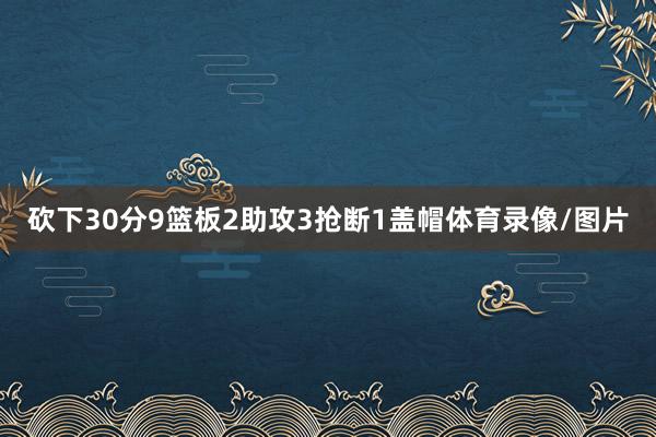 砍下30分9篮板2助攻3抢断1盖帽体育录像/图片