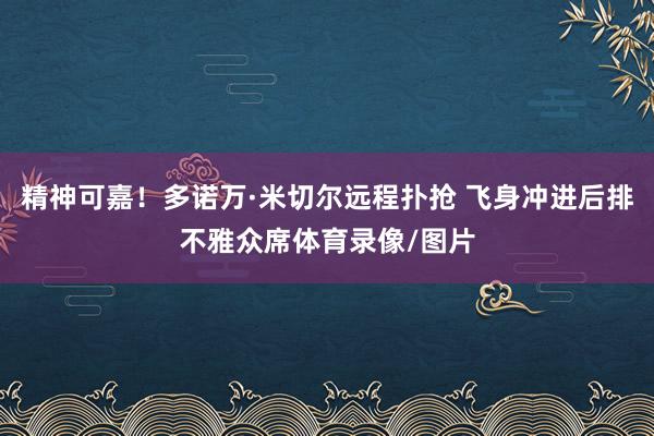精神可嘉！多诺万·米切尔远程扑抢 飞身冲进后排不雅众席体育录像/图片