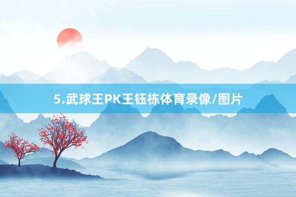 5.武球王PK王钰栋体育录像/图片