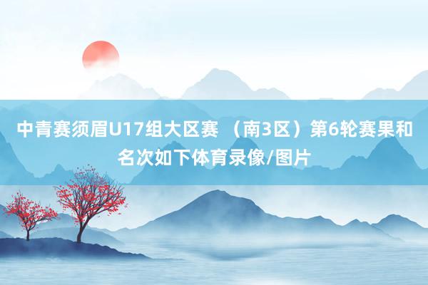 中青赛须眉U17组大区赛 （南3区）第6轮赛果和名次如下体育录像/图片