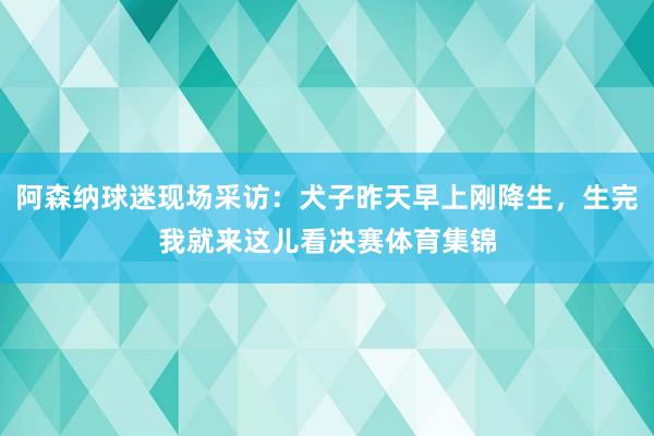 阿森纳球迷现场采访:犬子昨天早上刚降生,生完我就来这儿看决赛体育集锦