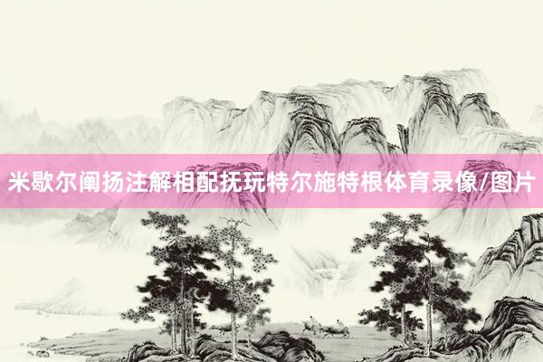 米歇尔阐扬注解相配抚玩特尔施特根体育录像/图片